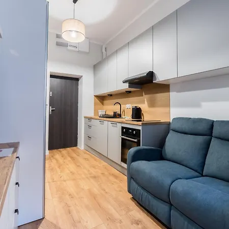 Daire Park Wilsona Charming By Bookinghost Poznan